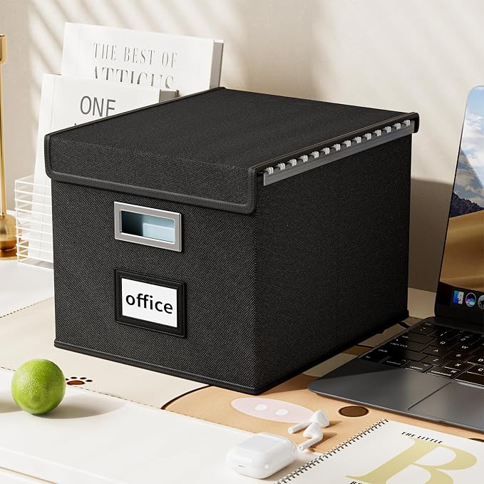 File Organizer Box with Lid, Collapsible File Folder Organizer for Office Document Storage, Filing Box with Plastic Slide for Letter Size Hanging File Folders(1 Pack, Black)