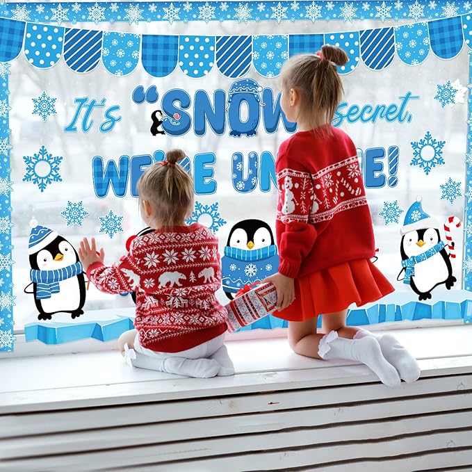 Pasimy Winter Penguin Bulletin Board Decorations January Bulletin Board Set Holiday Classroom Decor Snowflake Cutouts Border Trim for Kindergarten School Home Office Wall Door Party Supplies