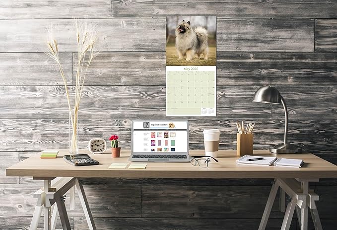Keeshond Calendar 2026 by MegaCalendars – Monthly Dog Breed Wall Calendar, Made in USA