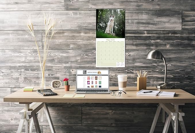 Siberian Husky Calendar 2026 – 16-Month Dog Breed Wall Calendar by MegaCalendars – Large Daily Blocks, Thick No-Bleed Paper, Made in USA