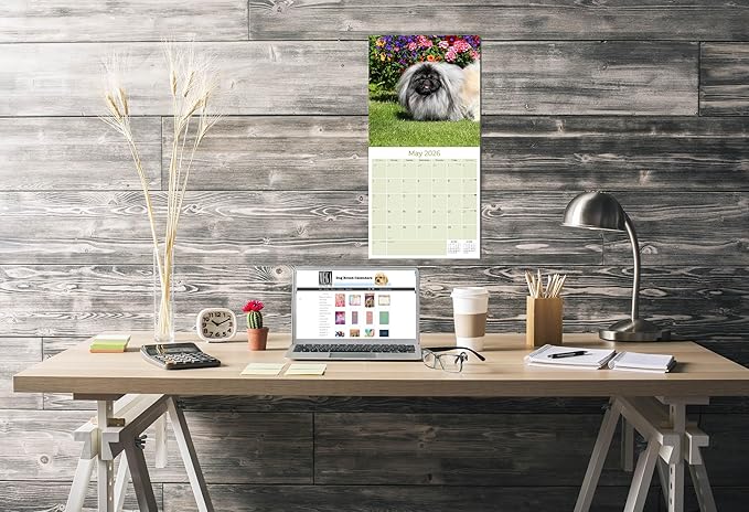 Pekingese Calendar 2026 by MegaCalendars – Monthly Dog Breed Wall Calendar, Made in USA