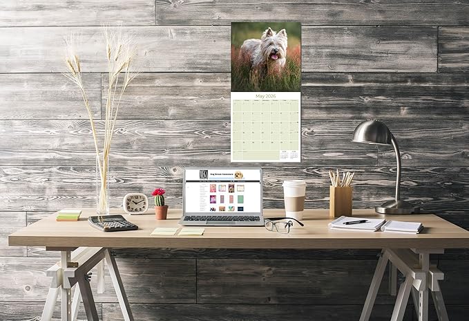 Cairn Terrier Calendar 2026 by MegaCalendars – Monthly Dog Breed Wall Calendar, Made in USA