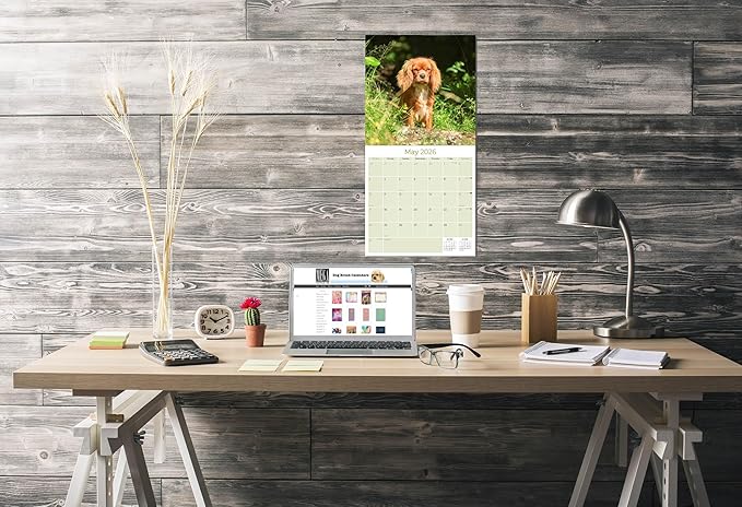 Cavalier King Charles Calendar 2026 by MegaCalendars – Monthly Dog Breed Wall Calendar, Made in USA