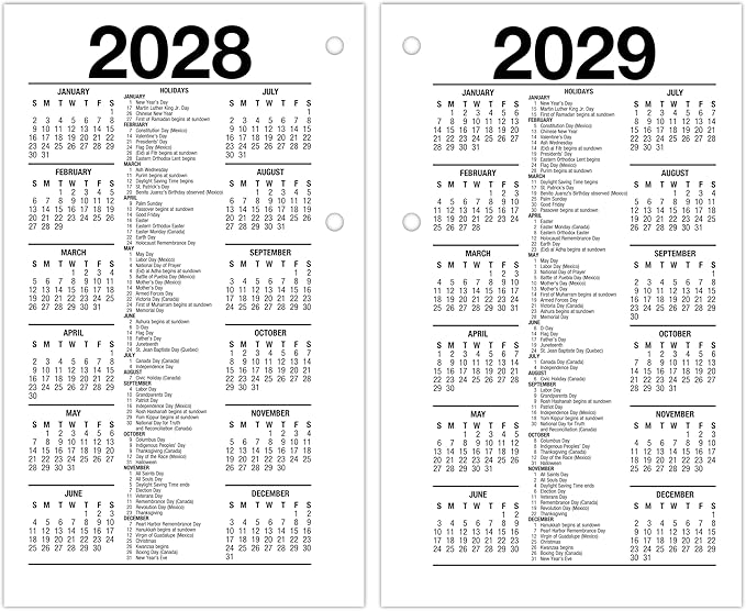 AT-A-GLANCE 2027 Desk Calendar Refill, Daily Desk Pad Refill, 3.5" x 6", Standard, Loose-Leaf, Recycled (E717R5027)