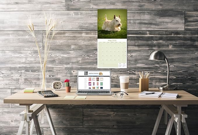 Scottish Terrier Calendar 2026 by MegaCalendars – Monthly Dog Breed Wall Calendar, Made in USA