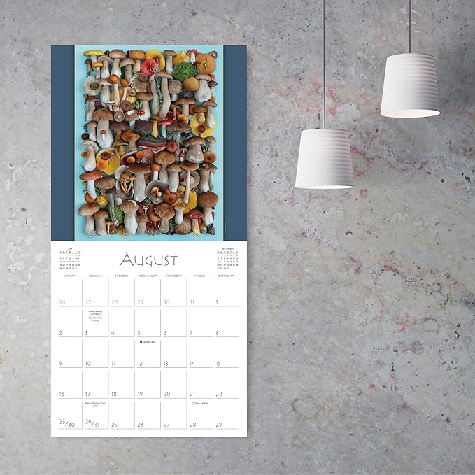 Mushrooms 2026 Wall Calendar, 12-Month Botanical & Nature Photography Calendar: The Art of The Fungi by Moritz Schmid, 12" × 12" Organizer for Home and Office
