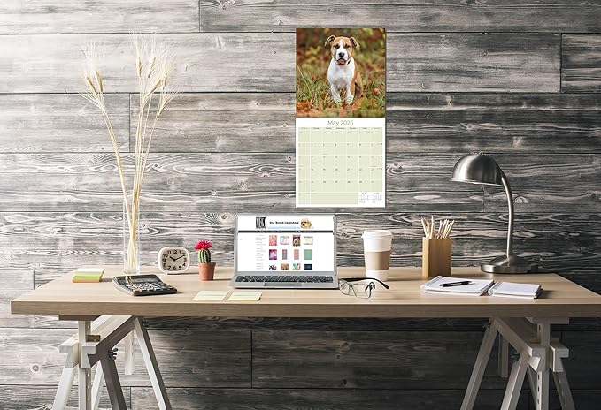American Staffordshire Terrier Calendar 2026 by MegaCalendars – Monthly Dog Breed Wall Calendar, Made in USA