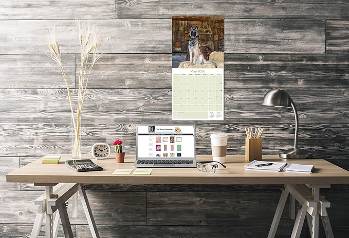 Belgian Shepherd Calendar 2026 by MegaCalendars – Monthly Dog Breed Wall Calendar, Made in USA