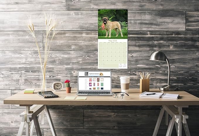 Mastiff Calendar 2026 by MegaCalendars – Monthly Dog Breed Wall Calendar, Made in USA