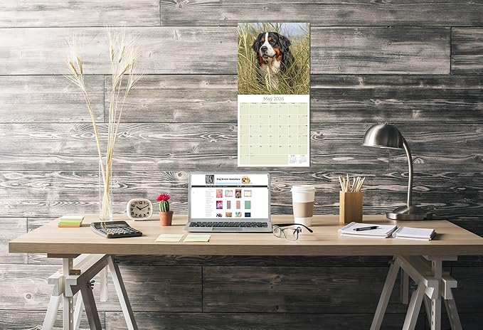 Bernese Mountain Dog Calendar 2026 – 16-Month Dog Breed Wall Calendar by MegaCalendars – Large Daily Blocks, Thick No-Bleed Paper, Made in USA