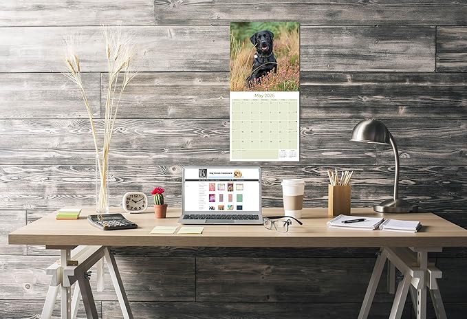 Black Labs Calendar 2026 – 16-Month Dog Breed Wall Calendar by MegaCalendars – Large Daily Blocks, Thick No-Bleed Paper, Made in USA