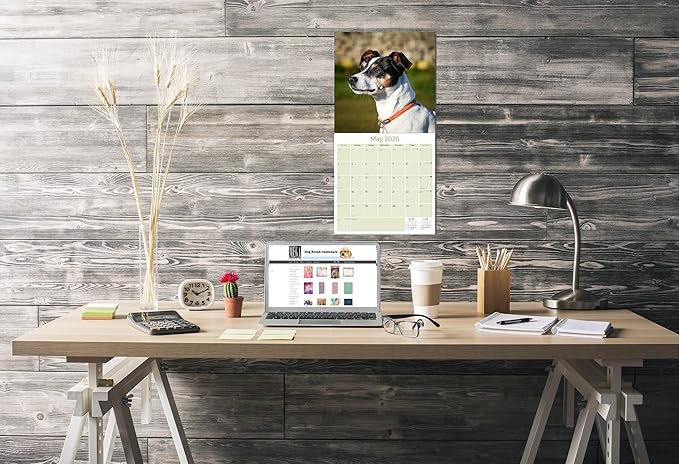 Rat Terrier Calendar 2026 by MegaCalendars – Monthly Dog Breed Wall Calendar, Made in USA