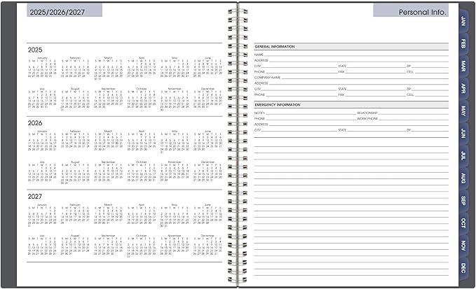 AT-A-GLANCE 2026 Appointment Book Planner, Weekly & Monthly, 8-1/2" x 11", Large, Quarter-Hourly, DayMinder, Gray (GC5200726)