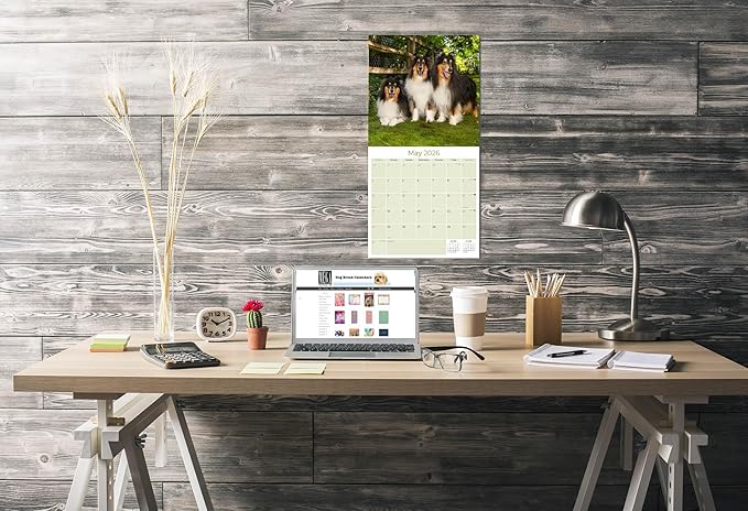 Collie Calendar 2026 by MegaCalendars – Monthly Dog Breed Wall Calendar, Made in USA