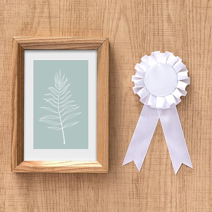 Henoyso 18 Pcs Blank Award Ribbon 1st Place Rosette Prize Award Medals Ribbons Recognition Participation Badges for Competition DIY Party Accessory Science Fair Talent Show(White)