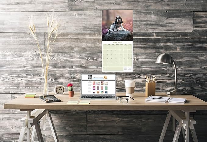 Cocker Spaniel Pups Calendar 2026 by MegaCalendars – Monthly Dog Breed Wall Calendar, Made in USA