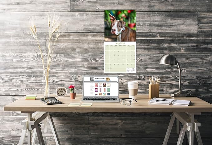 American Pit Bull Terrier Calendar 2026 by MegaCalendars – Monthly Dog Breed Wall Calendar, Made in USA
