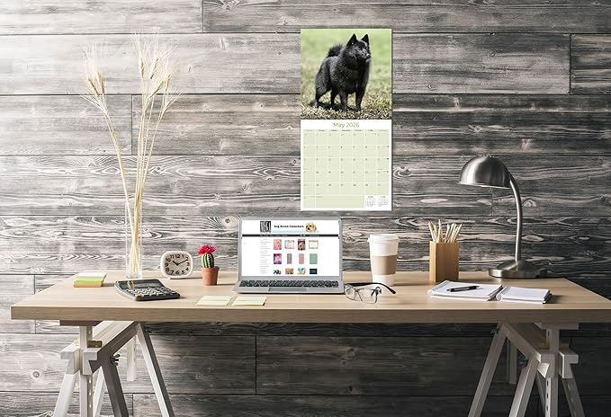 Schipperke Calendar 2026 by MegaCalendars – Monthly Dog Breed Wall Calendar, Made in USA