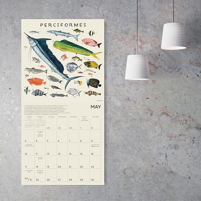 The Illustrated Animal Kingdom 2026 Wall Calendar, 12-Month Animal Art & Nature Calendar by Kelsey Oseid, 12" x 12", Large Grids for Home or Office