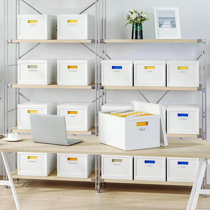 Seseno File Organizer File Box with Lid, Universal Hanging File Organizer, Letter/Legal Size File Folder Box, 2 Pack Plastic Office Document Filing Storage Bin