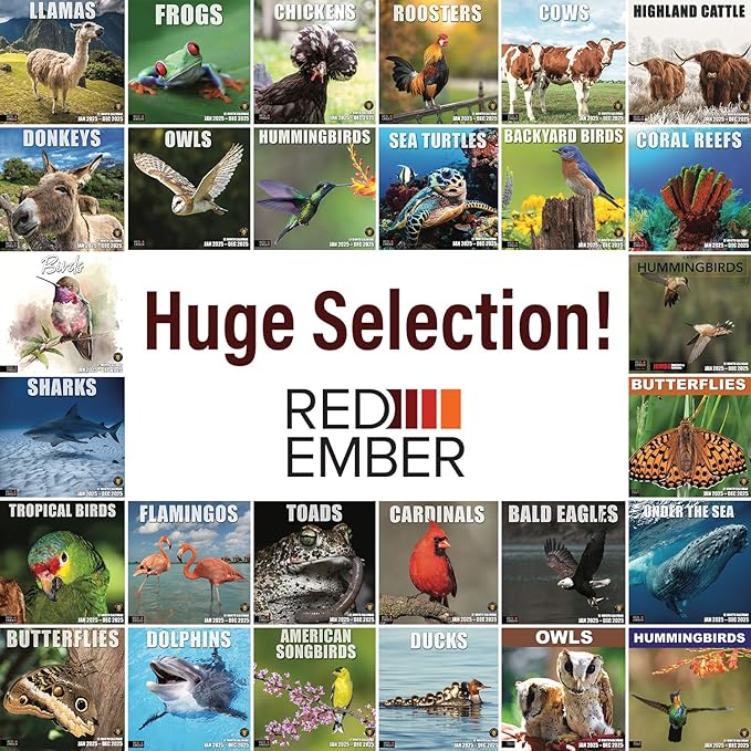 RED EMBER Hummingbirds 2025 Wall Calendar 12 Month | 12" x 24" Open | Thick & Sturdy Paper | Giftable | Calendar 2025