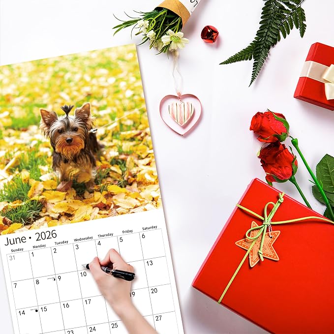 2026 Wall Calendar,Calendar 2026, July 2025 - December 2026, Wall Calendar Yorkshire Terrier Puppies, 12" x 24" Opened,Full Page Months Thick & Sturdy Paper for Calendar Organizing & Planning