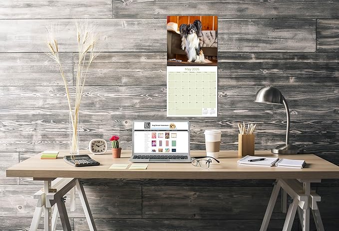 Papillon Calendar 2026 by MegaCalendars – Monthly Dog Breed Wall Calendar, Made in USA