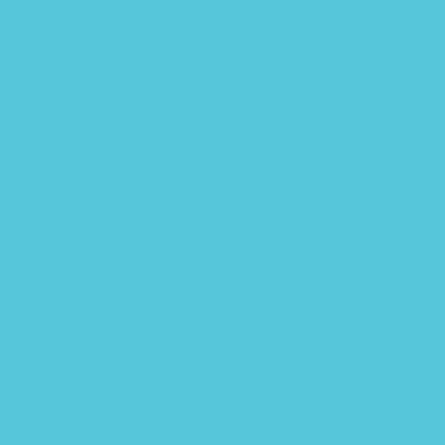 Storex 2-Compartment Large Craft Caddy – Multipurpose Classroom Organizer with Handle, Teal, 1-Pack (00959C06C)