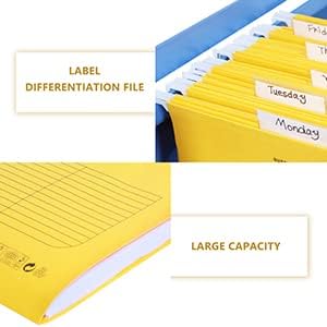Hanging File Folder, A4 Suspension Files Holder, Hang Folder, Filing Cabinet Suspension File with Tab and Label for School Home Office, Yellow, 25 Pack
