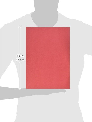 School Smart Folding Bristol Tagboard,Red, 9" W x 12" L (Pack of 100)