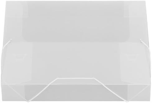 Lion File-N-Tote Plastic Document File, 13 x 9-7/8 Inches, 2 Inches Capacity, Clear, 1 File (45200F-CR)