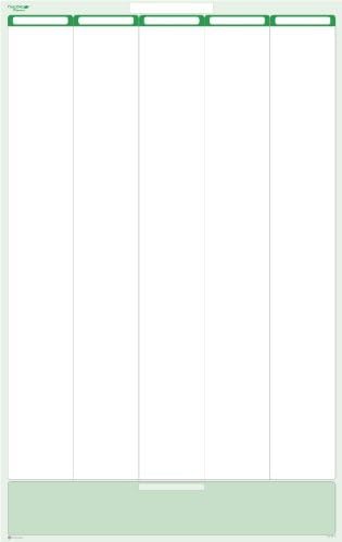 Earth Green 5-Column Dry-Erasable Task, Goals & Objectives Wall Organizer Planner 56" wide x 36" tall - Vertical. Complete with Marker and Eraser