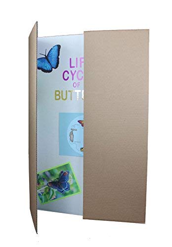 Flipside Products 36” x 48” Project Boards for Presentations, Science Fair, School Projects, Event Displays and Trifold Picture Board, Proudly Made in USA – Bleached White - 24 Pack