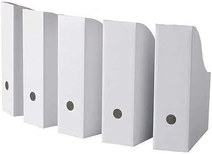 ROYALNA (10 PACK) White Magazine File Folder Holder, Magazine Organizer, Document Organizer, Storage Box (10)