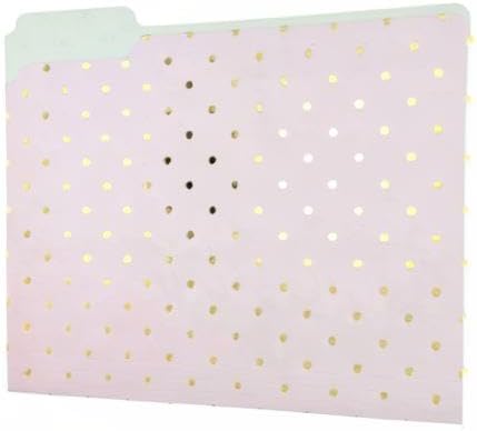 Graphique Flamingo Pink File Folder Set – File Set Includes 9 Folders and 3 Unique Flamingo and Polka Dot Designs, Embellished w/ Gold Foil on Durable Triple-Scored Coated Cardstock, 11.75" x 9.5"