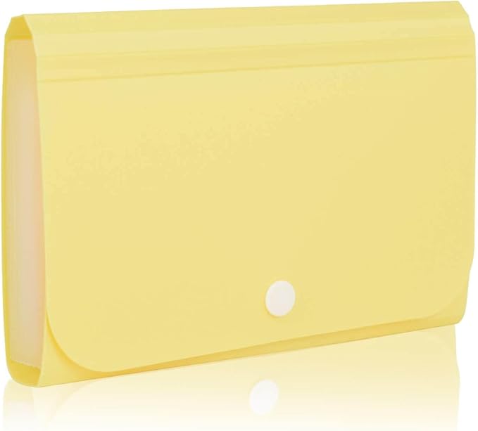 Receipt Organizer, Coupon Organizer, Folder Organizer Mini Organizer Wallet for Coupons, Receipts, Cash, Tax Item or Changes,7x4.5 in 13 Pockets with Tabs Check Case(Set 4)