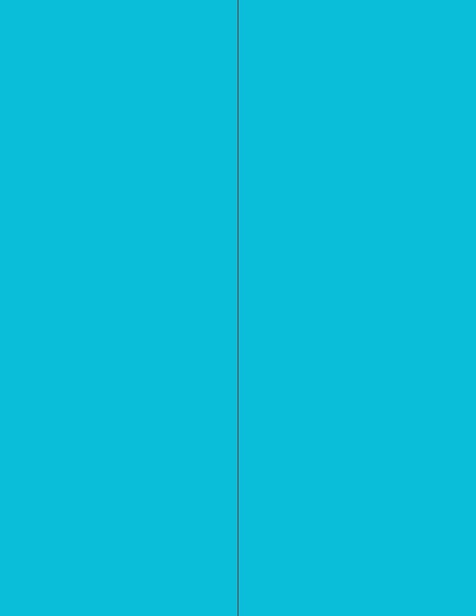 NextDayLabels - 8-1/2 x 11 Neon Color High Light Fluorescent Labels for Laser & Inkjet Printer (Blue Fluorescent, 4-1/4" x 11" - 2 Per Page | 200 Labels)