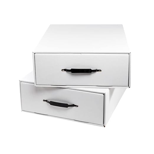 APOTHECARY PRODUCTS Single File Organizer & Drawer, Storage for Paper, Files, Prescriptions, 2 Compartments, White, 13 1/2" x 5" x 17 1/4", Made in the USA
