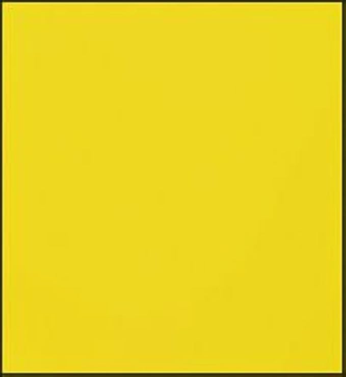 Faber-Castell Polychromos Artists' Single Pencil - Colour 185 Naples Yellow