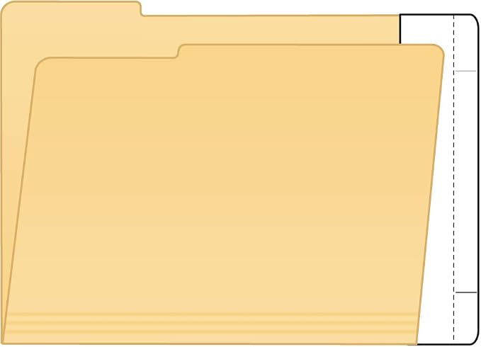 Tabbies 55995 Extenda-Folder Conversion Strips, 100 Box, White 3/4 Inch Full End Tab, 3-3/4 x 9 Inch, Convert File Folders to End Tab Shelf Filing
