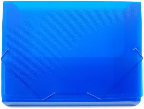 Lion File-N-Tote Plastic Document File, 13 x 9-7/8 Inches, 1 Inches Capacity, Translucent Blue, 1 File (45100F-BL)