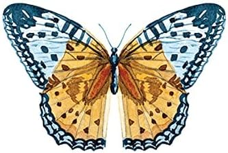Colorful Images Butterflies Return Address Mailing Labels, Personalize with Name & Addresses, Set of 144 Self Adhesive, Easy Peel Flat Label Sheets, 1½” x 1¾”, 6 Designs