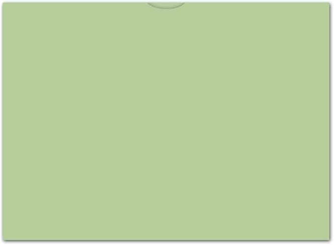 Plain Blank Vehicle Deal Envelopes 9x12 Deal Jackets (100 Shrink Wrapped) (Green)