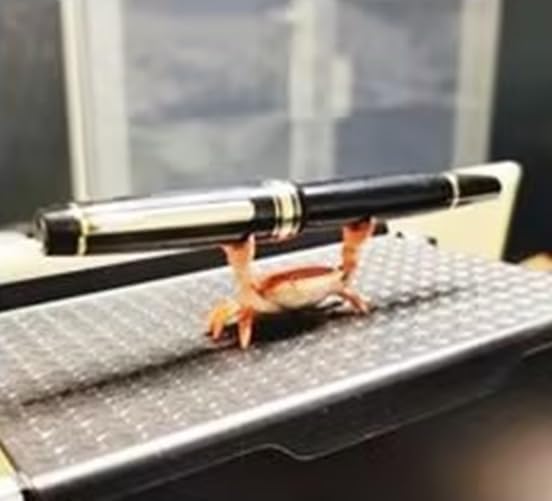 Creative Crab Pen Holder Weightlifting Crabs Pen Stand Storage Rack, Office Desktop Decoration, Pencil Holders Desk Supplies Holders and Dispensers, Desk Accessories and Workspace Organizers (green)