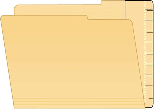 Tabbies 55992 Extenda-Folder Conversion Strips, 100 Box, Manila 3/4 Inch Full End Tab, 4-3/4 x 9-1/2 Inch, Convert File Folders to End Tab Shelf Filing