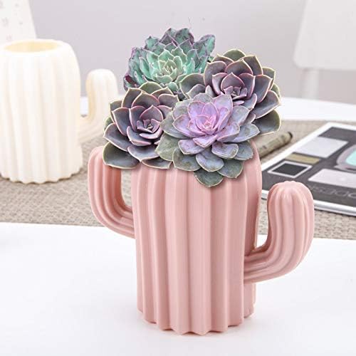 Ragyzity Cactus Pen Holder and Pencil Container - Creative Stationery Storage Box, Desktop Supplies Cup, Cosmetic Makeup Brush Organizer for Students (Pink)