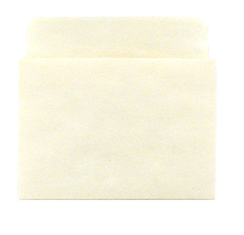 Hygloss Products Manila Library Pockets – Non-Adhesive Pocket Envelopes Made in the USA – 3 x 3.5 Inches, 40 Pack
