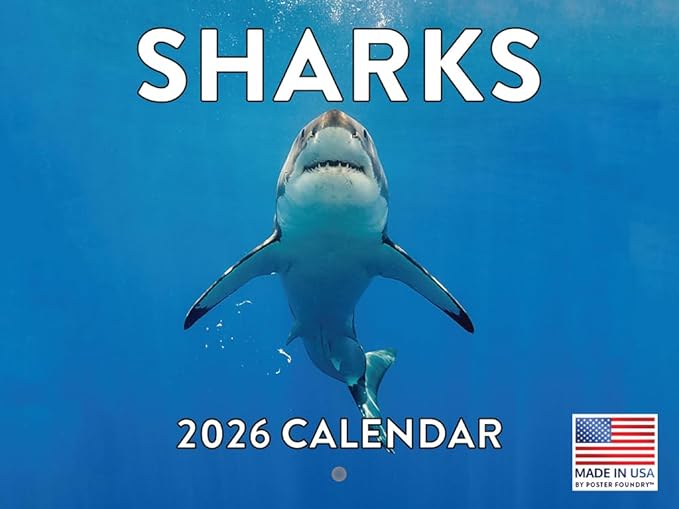 Shark Calendar 2026 Monthly Wall Calender 12 Month | American Made In The USA