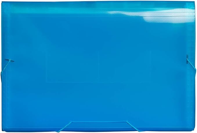 JAM PAPER Accordion Folders - 13 Pocket Plastic Expanding File - Legal Size - 10 x 15 - Blue - Sold Individually