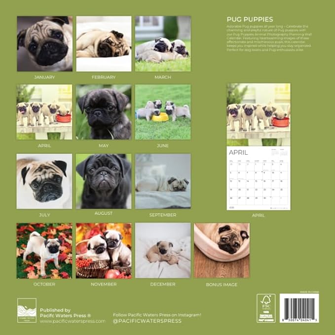 Pug Puppy Wall Calendar 2026| 12" x 24" Open | Dog Calendar Photography Thick & Sturdy Paper for Organizing & Planning | Office Kitchen Decor or Gift | Pacific Waters Press (Pug Puppies)